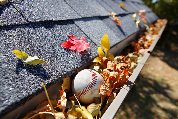 Rain gutter full of autumn leaves with a baseball